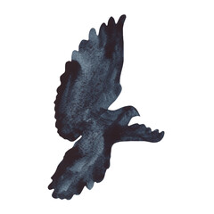 Watercolor flying birds silhouette. Seagull bird symbol and icon