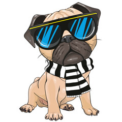 Cartoon Pug Dog with pink glasses