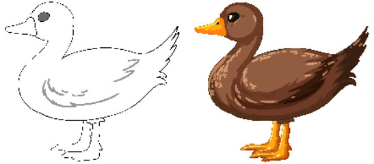 Vector illustration of a duck, outlined and colored