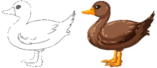 Abwaschbare Fototapete Kinder Vector illustration of a duck, outlined and colored