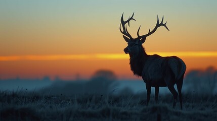 Naklejka na ściany i meble In the tranquil morning, the stag's gaze pierces the horizon, embodying the essence of strategic reflection and limitless new opportunities.