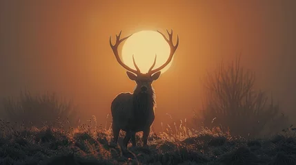Fototapeten The stag's silhouette embodies the resilience needed to navigate shifting market landscapes across seasons. © Manyapha