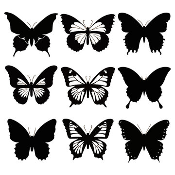 Butterfly_Silhouettes_Butterfly_silhouette_collection