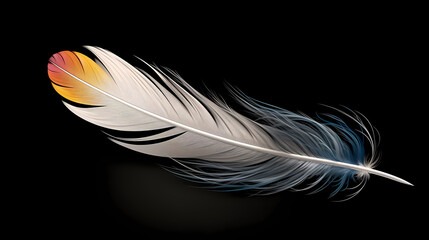 image of feathers