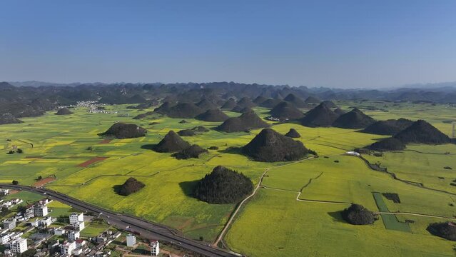 Aerial view of Golden Canola fields in Luoping, Yunnan, China
