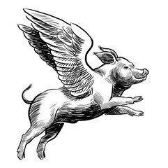 Flying pig. Hand drawn retro styled black and white drawing - 764672312