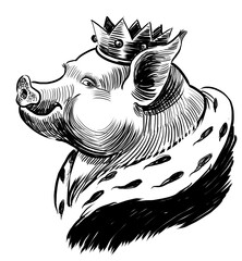 Royal pig in crown. Hand drawn retro styled black and white drawing
