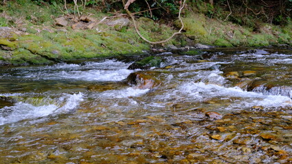 田舎を流れる清流