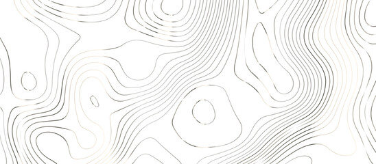 Topographic map background geographic line map pattern .panorama view silver color wave curve lines .geographic mountain relief abstract grid .the concept map of a conditional geography map . - obrazy, fototapety, plakaty