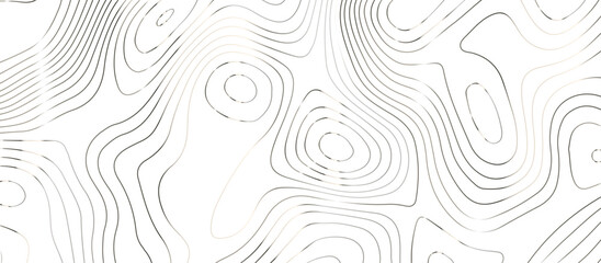 Topographic map background geographic line map pattern .panorama view silver color wave curve lines .geographic mountain relief abstract grid .the concept map of a conditional geography map .