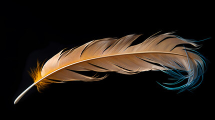 Exquisite feather close-up with intricate details