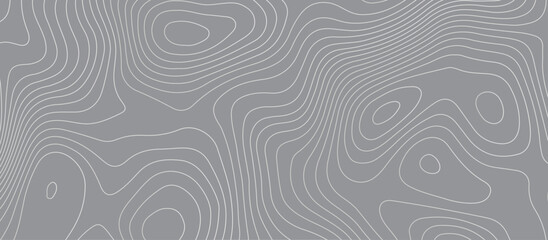 Topographic map background geographic line map pattern .panorama view gray color wave curve lines .geographic mountain relief abstract grid .the concept map of a conditional geography map .