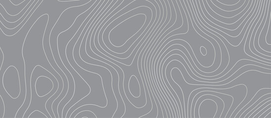 Topographic map background geographic line map pattern .panorama view gray color wave curve lines .geographic mountain relief abstract grid .the concept map of a conditional geography map .