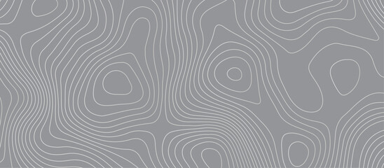Topographic map background geographic line map pattern .panorama view gray color wave curve lines .geographic mountain relief abstract grid .the concept map of a conditional geography map .