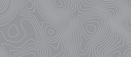 Topographic map background geographic line map pattern .panorama view gray color wave curve lines .geographic mountain relief abstract grid .the concept map of a conditional geography map .