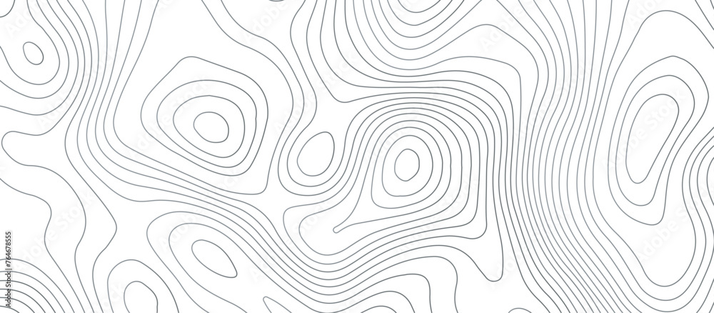 Wall mural topographic map background geographic line map pattern .panorama view gray color wave curve lines .g