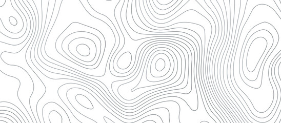 Topographic map background geographic line map pattern .panorama view gray color wave curve lines .geographic mountain relief abstract grid .the concept map of a conditional geography map . - obrazy, fototapety, plakaty