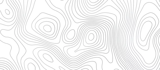 Deurstickers Topographic map background geographic line map pattern .panorama view gray color wave curve lines .geographic mountain relief abstract grid .the concept map of a conditional geography map . © VECTOR GALLERY