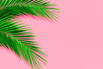 Fototapeta premium Tropical palm leaves, foliage plant branches on pink color with blank space background. Creative lifestyle. Minimal summer concept. Flat lay, Top view 