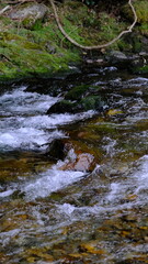 田舎を流れる清流