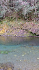 田舎を流れる清流