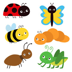 Insect set. Ant, bee bumblebee, grasshopper, caterpillar, ladybug ladybird, butterfly, lady bug. Cute cartoon funny kawaii baby animal. Childish style. Flat design. White background Vector - 764683903