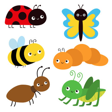 Insect set. Ant, bee bumblebee, grasshopper, caterpillar, ladybug ladybird, butterfly, lady bug. Cute cartoon funny kawaii baby animal. Childish style. Flat design. White background Vector