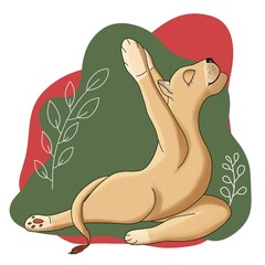Cute animals of Africa in yoga and meditation pose. Digital illustration, hand-drawn by isolates.