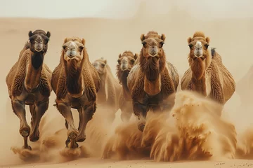 Fotobehang a group of camels running through the desert, showcasing strong facial expressions. captured in a breathtaking style © Izhar