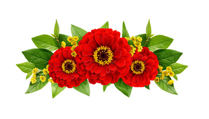Red zinnia flowers in a line floral arrangement isolated on white or transparent background