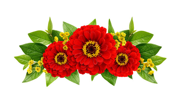 red zinnias with yellow centers and green leaves clip art preview