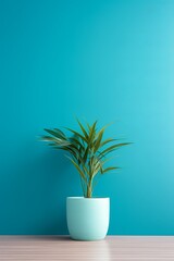 Potted plant on table in front of cyan wall, in the style of minimalist backgrounds, exotic, cyan