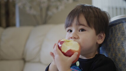 Little kid eats a big red apple