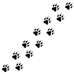 Dog tracks. Paw print. A line of footprints. Vector template. Illustration isolated on white background. © graphic_arts