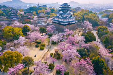Beautiful aerial view of traditional Japanese castle during cherry blossom season in Japan.