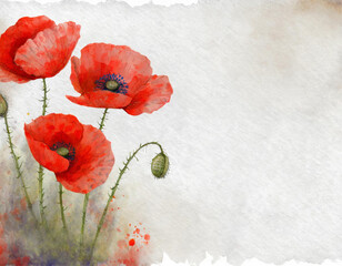 Hand drawn flowers, poppies on watercolor paper, grunge background, place for dough, for designing invitations and cards