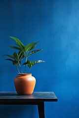 Potted plant on table in front of indigo wall, in the style of minimalist backgrounds, exotic