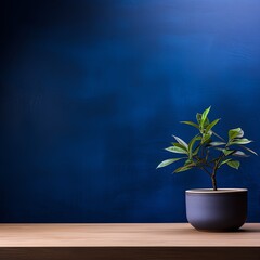 Potted plant on table in front of indigo wall, in the style of minimalist backgrounds, exotic