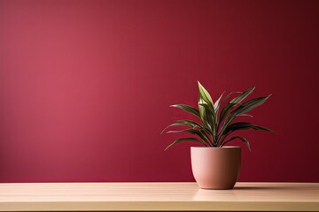 Potted plant on table in front of maroon wall, in the style of minimalist backgrounds, exotic