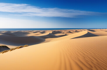 Relief sand dunes on the background of the ocean. Panoramic view of the desert and the sea