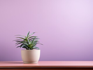 Potted plant on table in front of mauve wall, in the style of minimalist backgrounds, exotic - obrazy, fototapety, plakaty