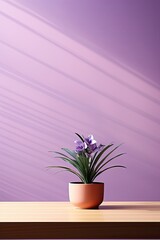 Potted plant on table in front of mauve wall, in the style of minimalist backgrounds, exotic