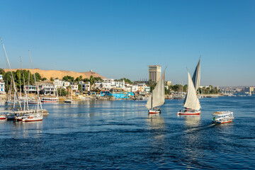 Fototapeta premium Feluccas (traditional egyptian sailing boats) on the Nile river in Aswan, Egypt