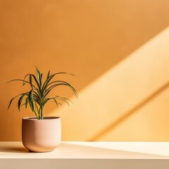 Potted plant on table in front of tan wall, in the style of minimalist backgrounds, exotic, tan and beige