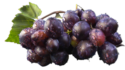 A cluster of perfectly ripe grapes, each globe shimmering with dew, inviting you to pluck them from the vine