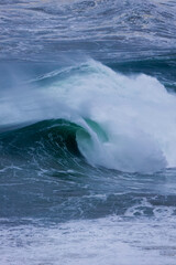 Big wave in the ocean