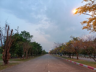 road in the park