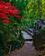 Japanischer Garten