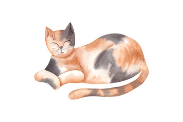 A three-haired cat lies snoozing. Watercolor illustration of a pet drawn by hand. - obrazy, fototapety, plakaty
