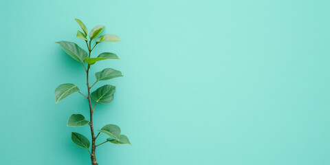 A banner with copy space and a single tree branch symbolizing reforestation and growth, suitable for environmental education and green initiative promotions.